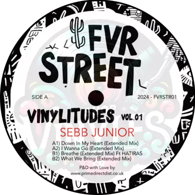 Sebb Junior-Vinylitudes Vol.01