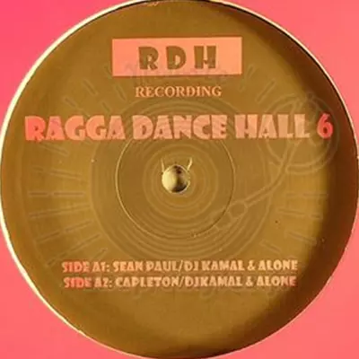 Ragga Dance Hall-Vol. 6
