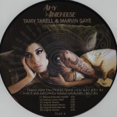 Amy Winehouse / Tamy Tarell & Marvin Gaye-Tears Dry On Their Own / Ain't No Mountain High Enough (Part 4)