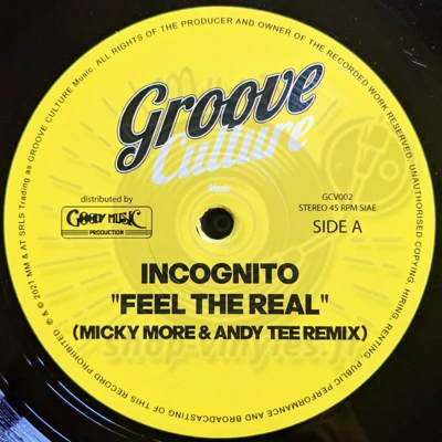 Incognito-Feel The Real (Micky More & Andy Tee Remix)