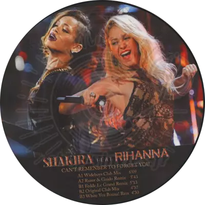 Shakira Feat Rihanna - Can't Remember To Forget You