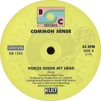 Common Sense-Voices Inside My Head