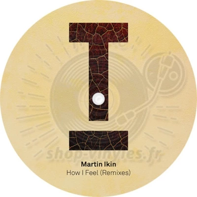 Martin Ikin Featuring Hayley May-How I Feel (Remixes)