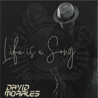 David Morales-Life Is A Song 2x12 (Picture Sleeve + Insert)