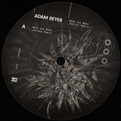 Adam Beyer-What You Need (Kölsch Remix)