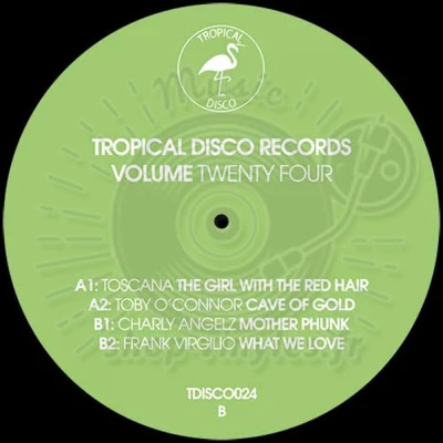 Various-Tropical Disco Records, Vol. 24