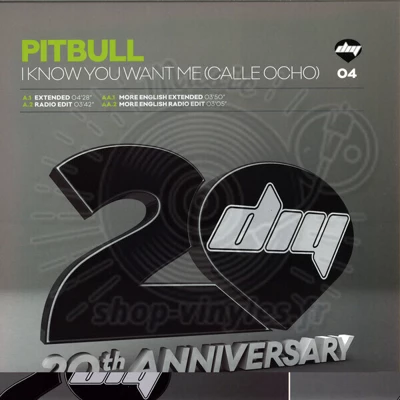 Pitbull-I  Know You Want Mee (calle Ocho)