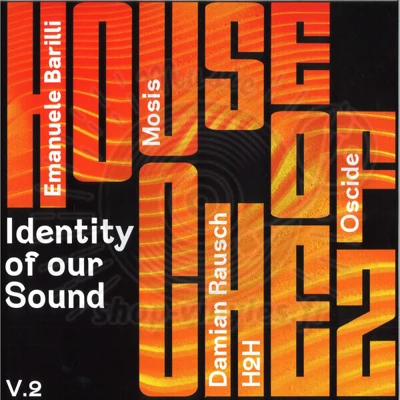 Various-Identity of our Sound Vol.2