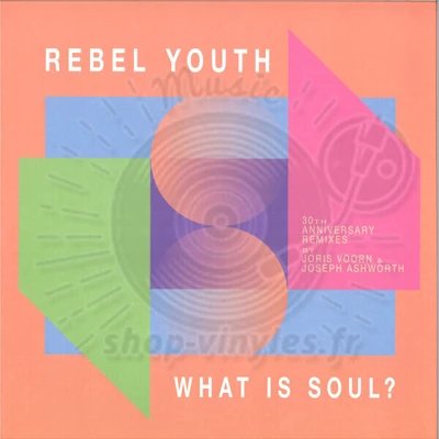 Rebel Youth-What is soul? (30th anniversary remixes)
