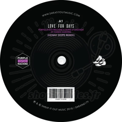 Purple Disco Machine & Boris Dlugosch Featuring Karen Harding-Love For Days (Extented + Remix)