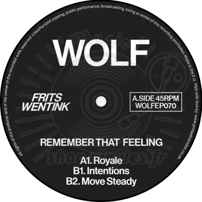 Frits Wentink-Remember that Feeling