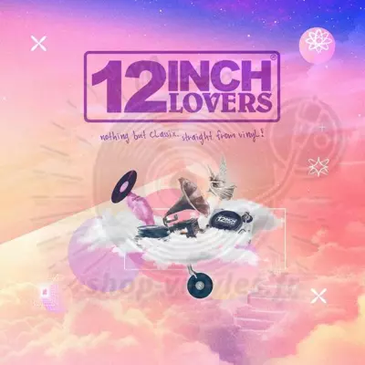 VARIOUS ARTISTS-12 INCH LOVERS VOL 8 (2X12)
