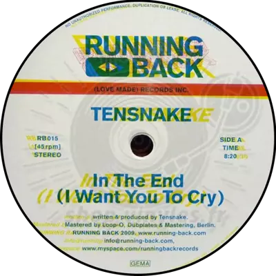 Tensnake-In The End