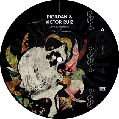 Pig, Dan, Victor Ruiz-Consciousness EP