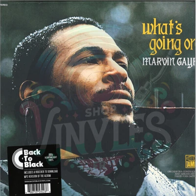 Marvin Gaye-What's Going On LP (repress)